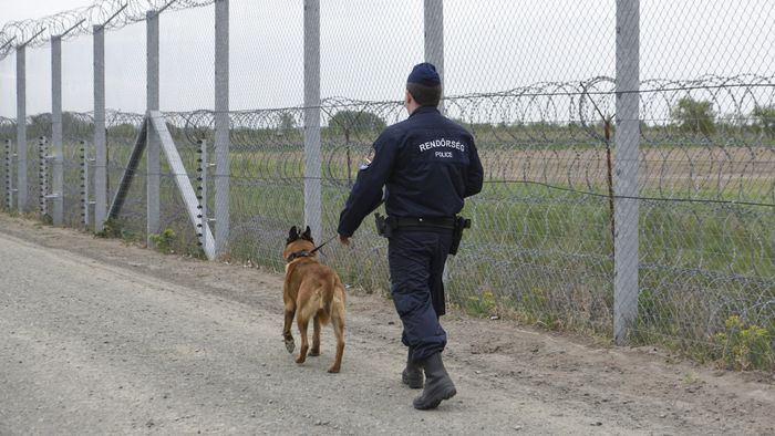 Öt migránst Domaszéken, harminchetet a határon tartóztattak fel