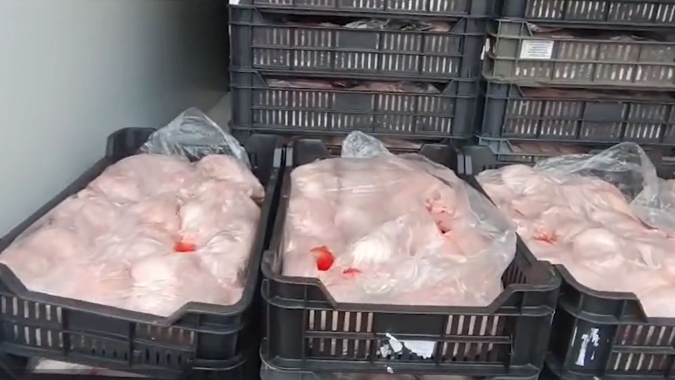 Több mint két tonna romlott húst találtak egy Szegedről igyekvő kisteherautóban