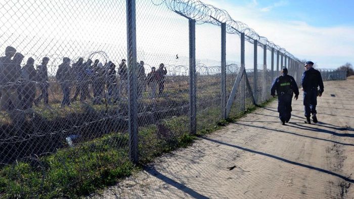 17 migránst fogtak el tiltott határátlépés miatt