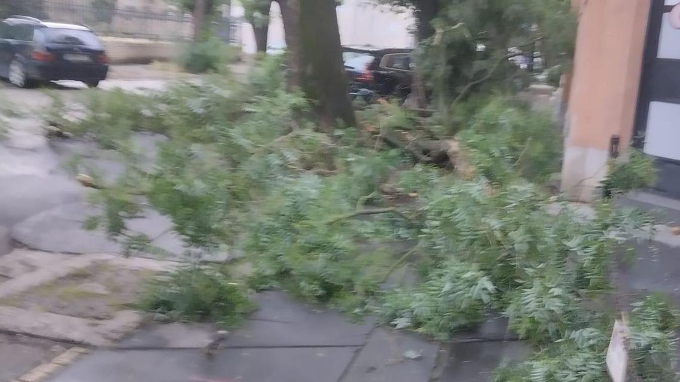 Melegrekord után csapott le a vihar Szegedre, károkat is okozott