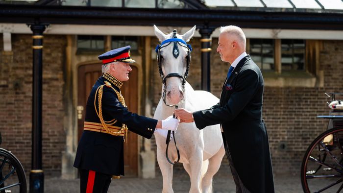 A Honvédelmi Minisztérium két magyar lovat adott III. Károlynak koronázási ajándékként