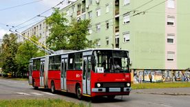 Leselejtezik a fél éve Szegedre hozott trolibuszokat