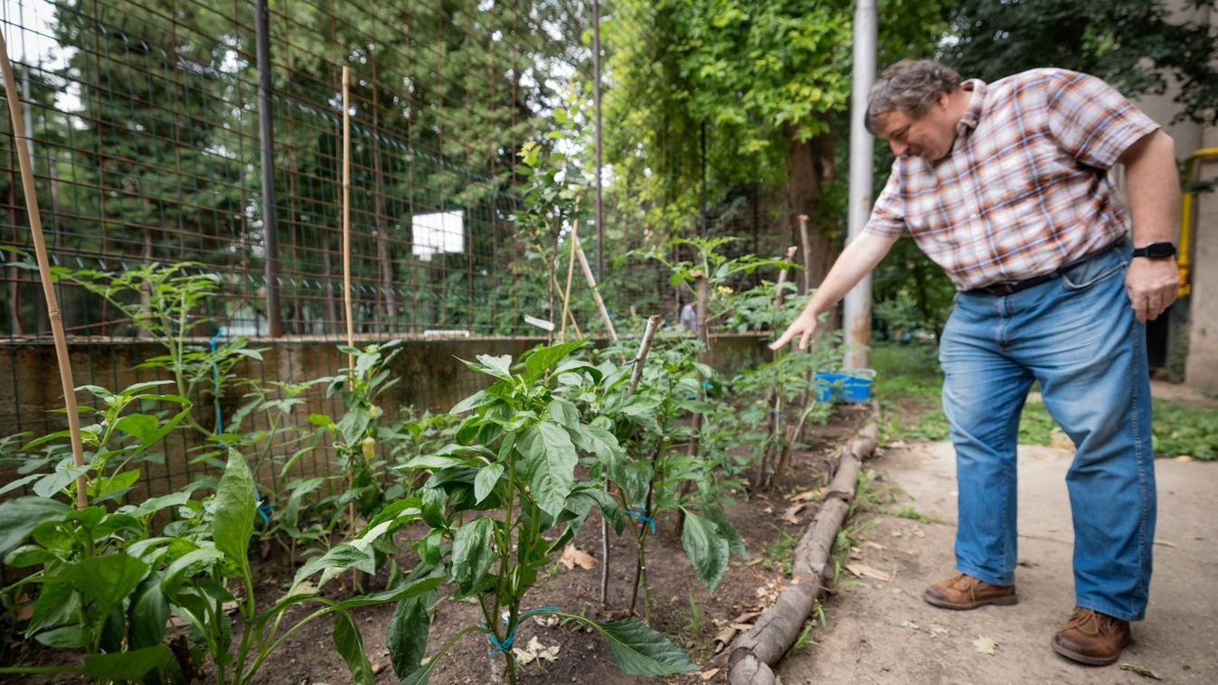 A Móra Ferenc Szakkollégium az egyetem saját pálinkáját, chilijét, befőttjét, fűszereit adhatná kiskertjével