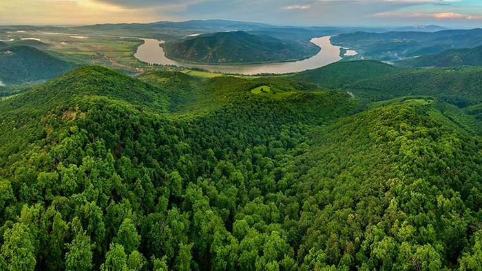Magyarország elkötelezett az erdei ökoszisztémák megőrzésében