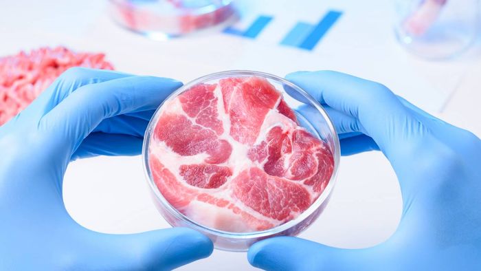 Az infláció hatására Ausztriában egyre többen esznek műhúst