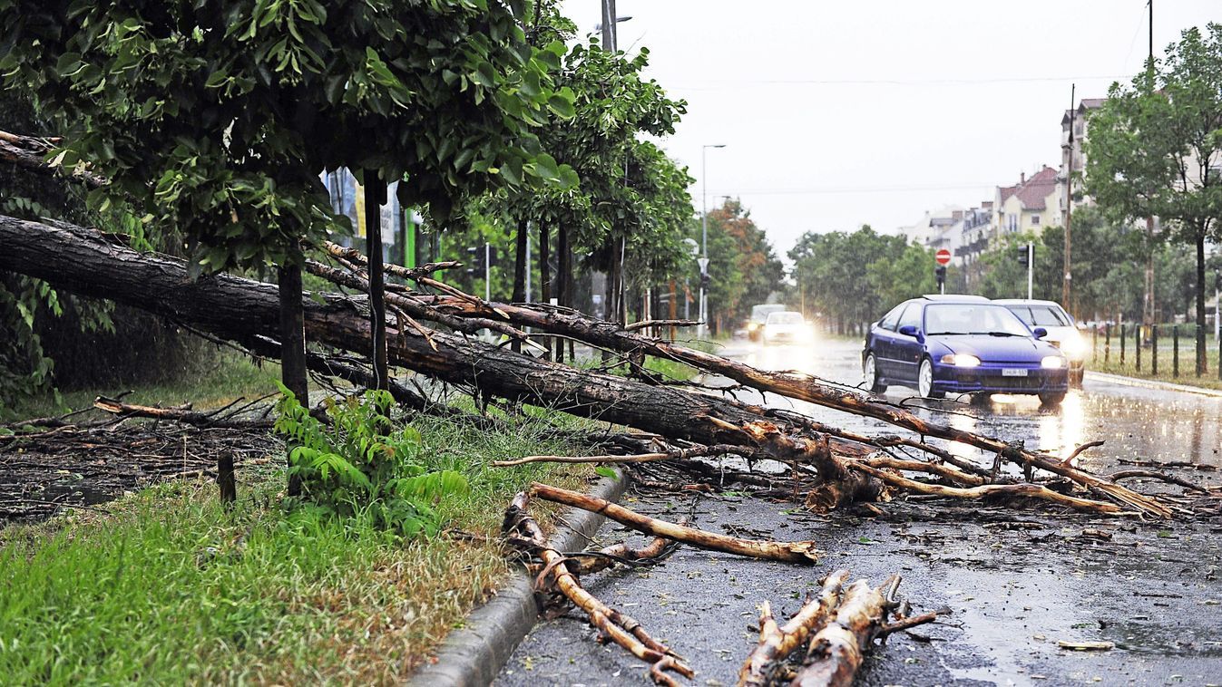 Lecsapott a vihar, elképesztő károkat okozott