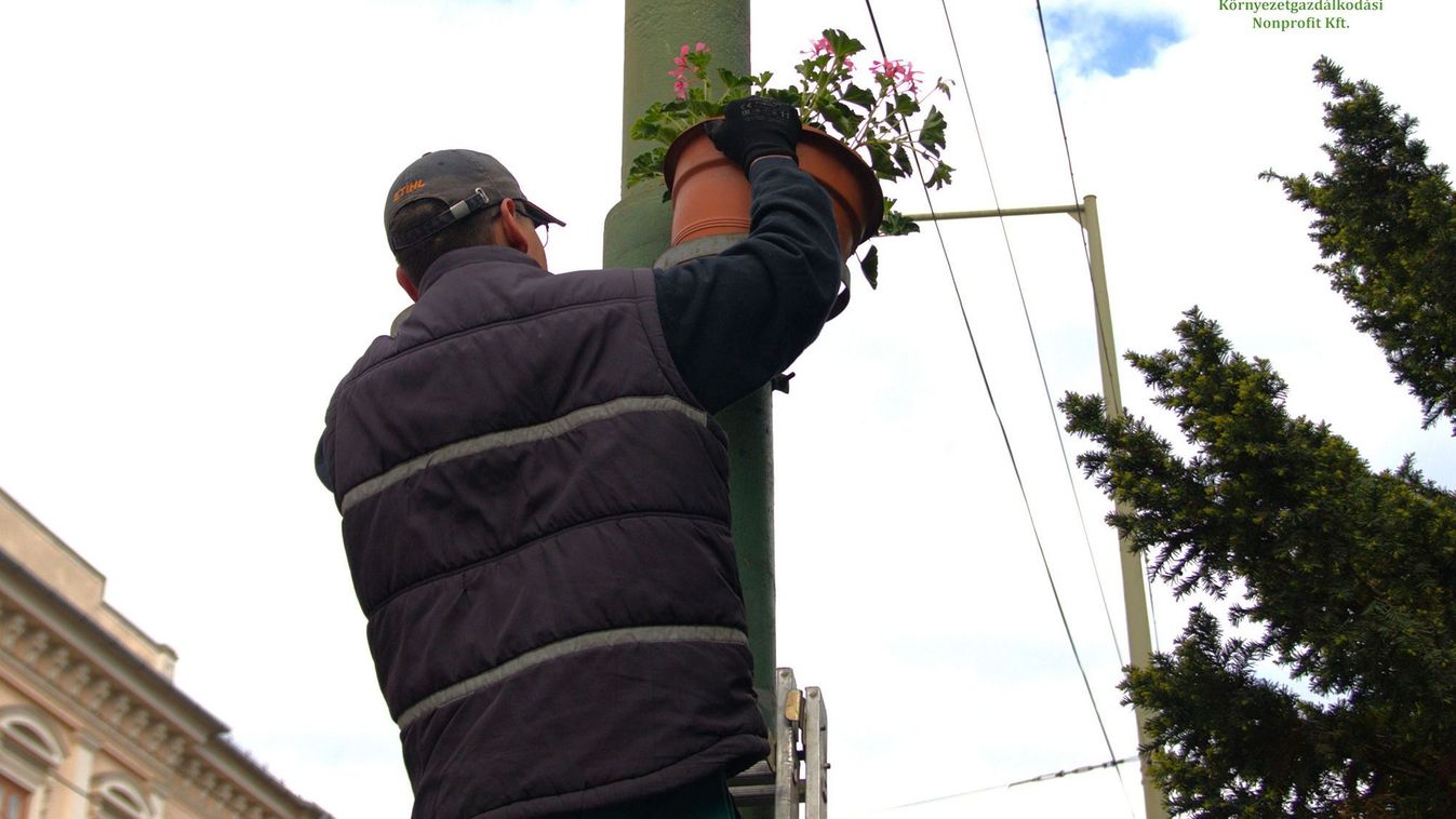 Az első fagyokig locsolják majd a szegedi növényeket