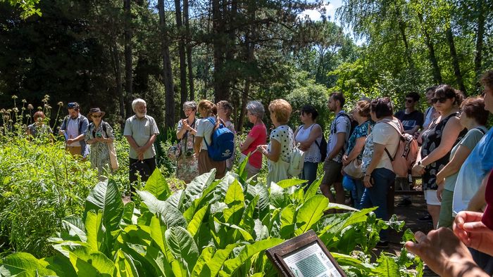 Az ősszel is bőven lesz miért a szegedi Füvészkertbe látogatni