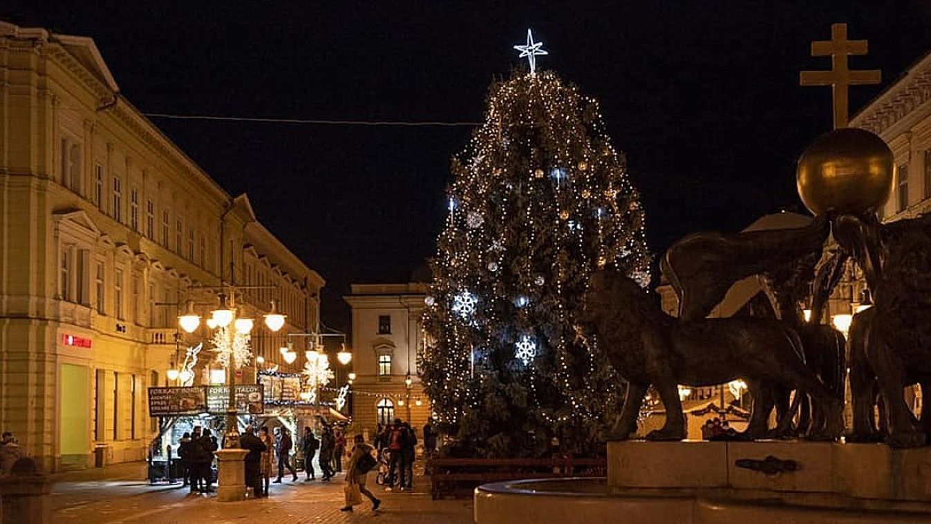 Elárulták, milyen fát keresnek Szeged karácsonyfájának