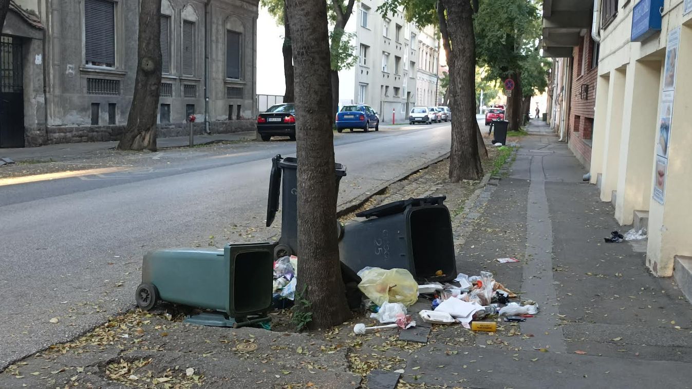 Áldatlan körülményeket hagynak maguk után a kukázók Szegeden