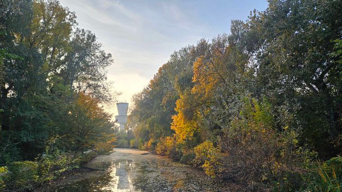 Őszi séták Szegeden a Holt-Maros partján +képek+videó