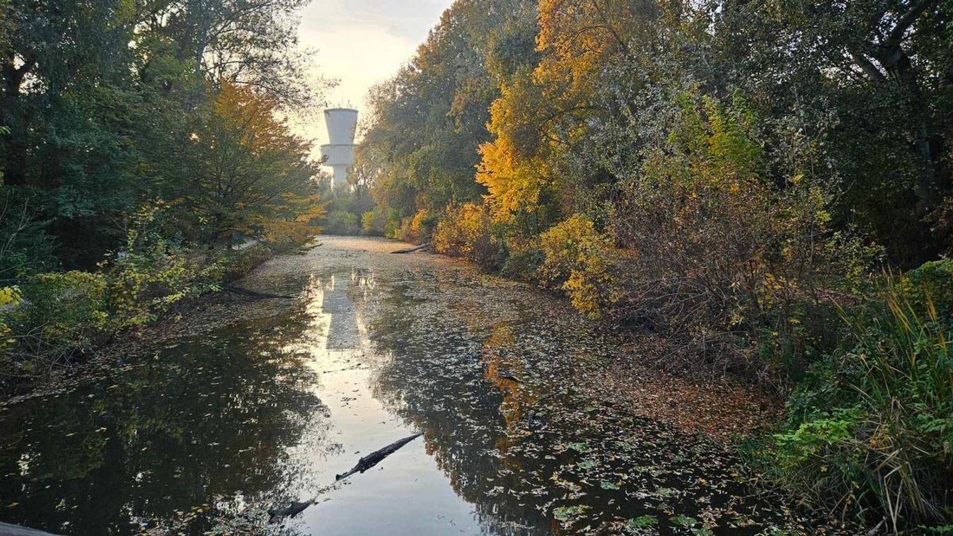 Folytatódik a csendes, napsütéses ősz Szegeden