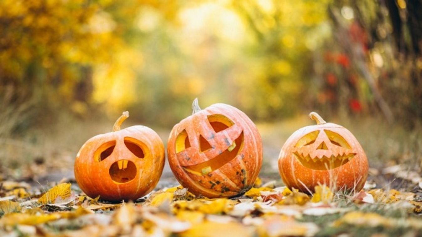 Október utolsó napja: halloween buli a Vadasparkban