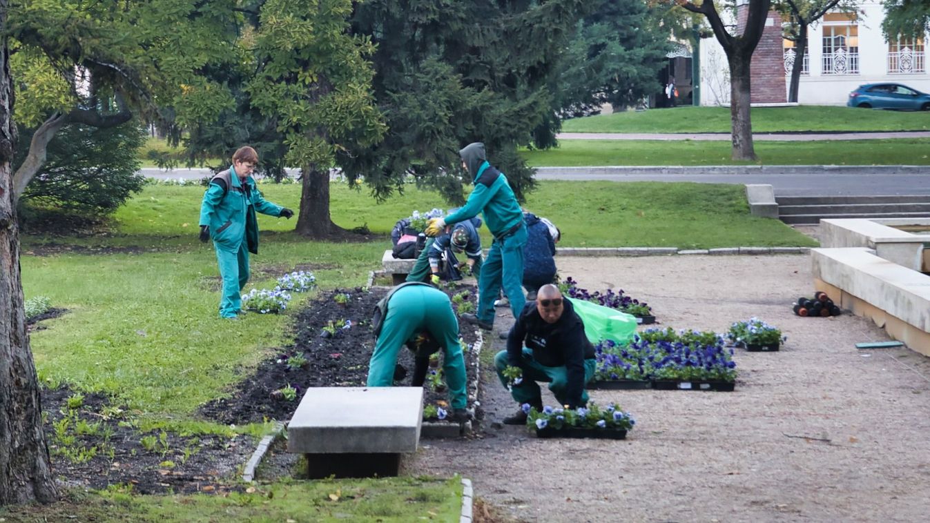 Szeged télen is színekkel és élettel teli lesz