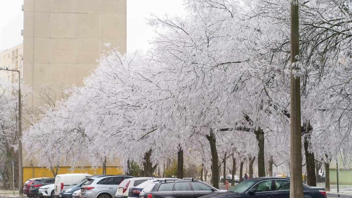 Hiába a télies fehérség Szegeden, jelentősen enyhül az idő