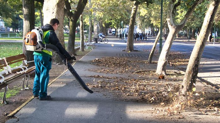 A járdák tisztítására figyelmeztetnek a szegedi környezetgazdák