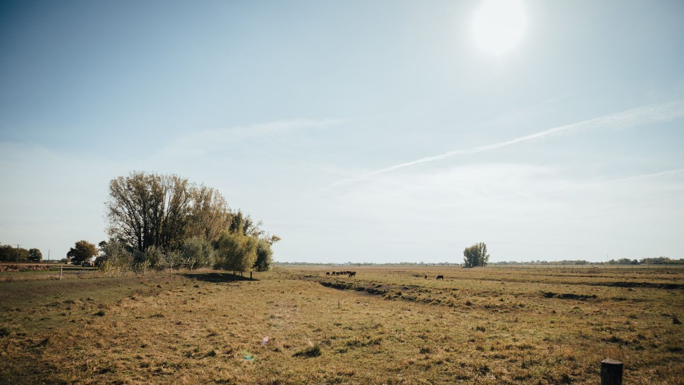 Fókuszban a Homokhátság vízvisszapótlása