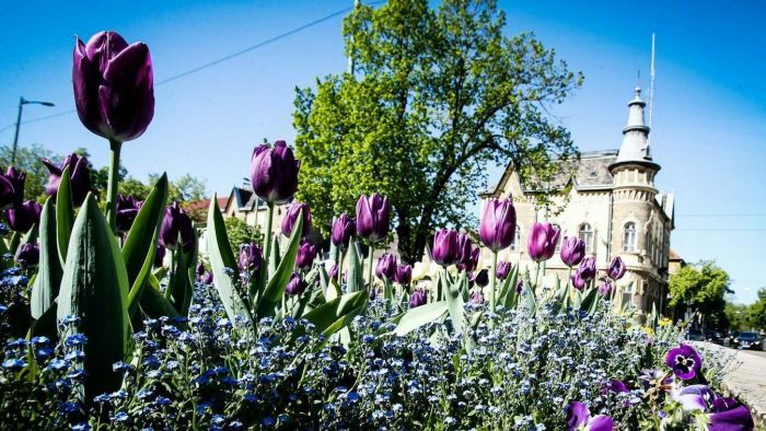 Csütörtökön délelőtt megkezdődött a csillagászati tavasz