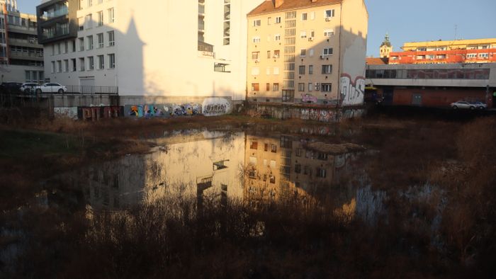 Ismét tó lett a Centrum-gödörből, a kacsák is visszatértek +fotók +videó