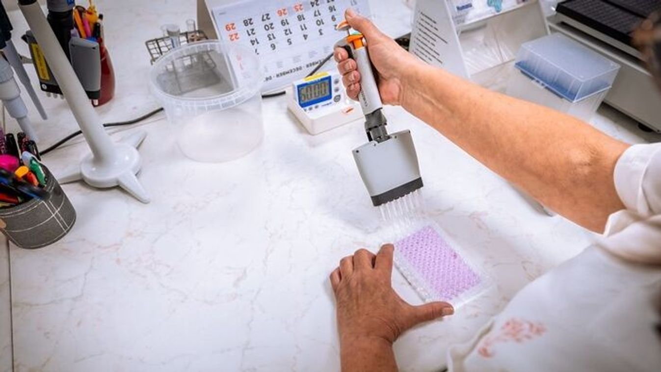 Fél évszázados a hazai újszülöttkori szűrés, ami Szegedről indult