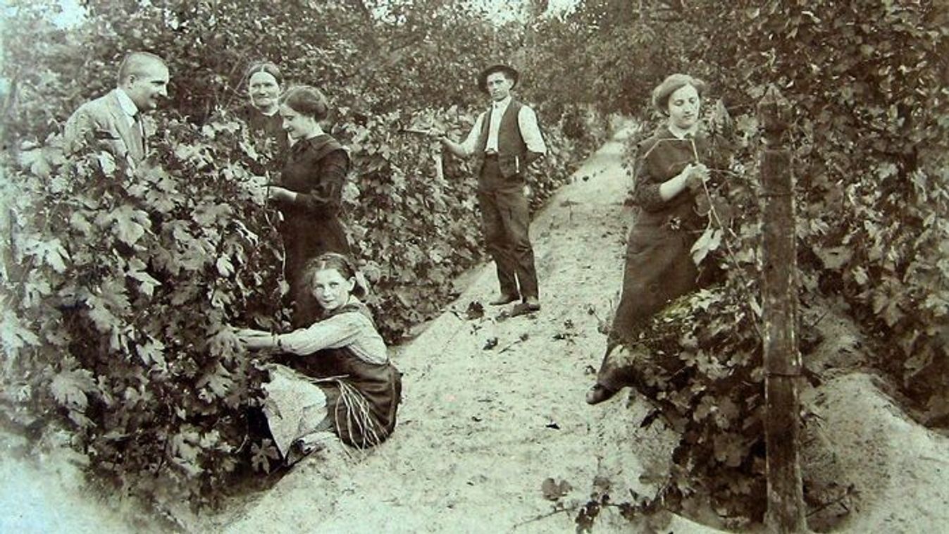 100 éve Szeged: A csizma szárba öntött bor
