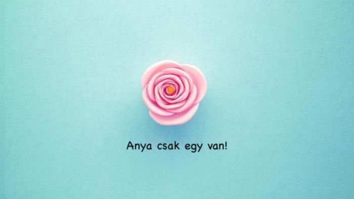 Boldog anyák napját kívánunk minden édesanyának!