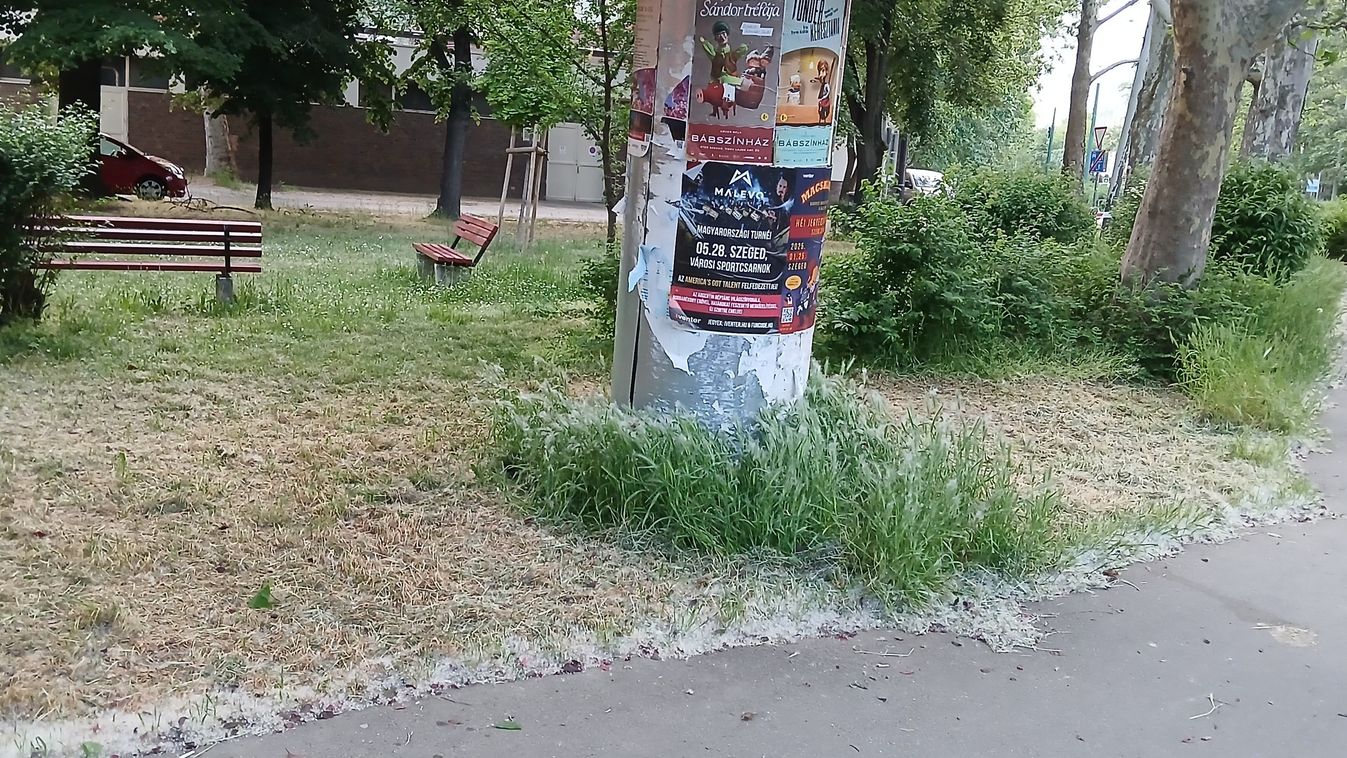 Hanyag és igénytelen munkát végeznek városszerte Szegeden +fotók
