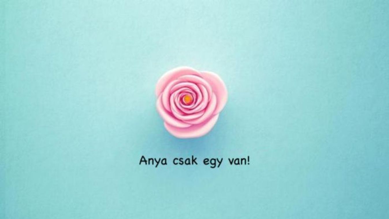 Boldog anyák napját kívánunk minden édesanyának!