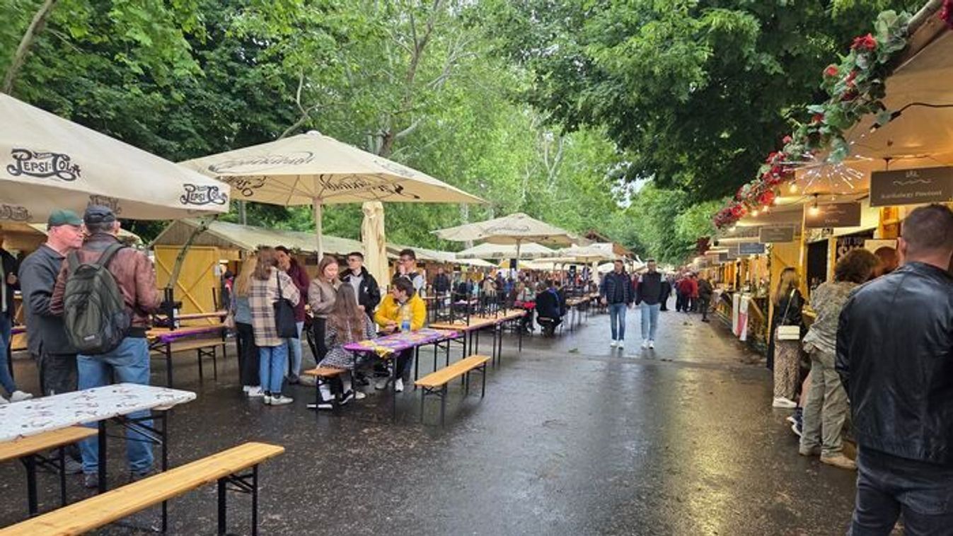 Esernyős vasárnap lesz a Borfesztiválon