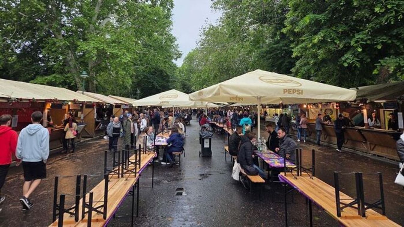 Borfesztivál nélkül elképzelhetetlen Szeged, de lenne min javítani
