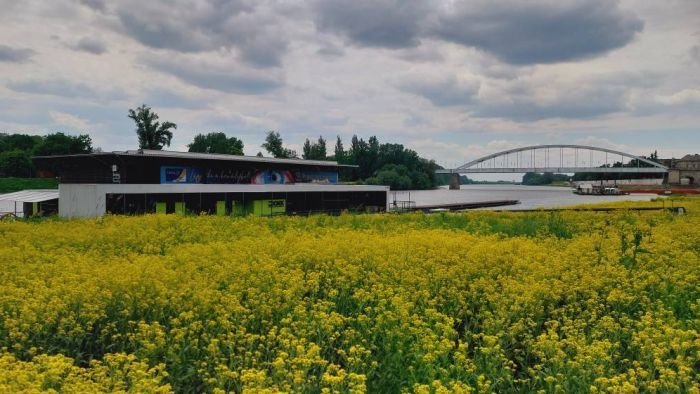 Tavaszban tündököl a Tisza part Szegeden + fotók