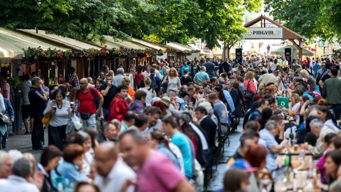 Szeged íze, illata, lelke – a borfesztivál története