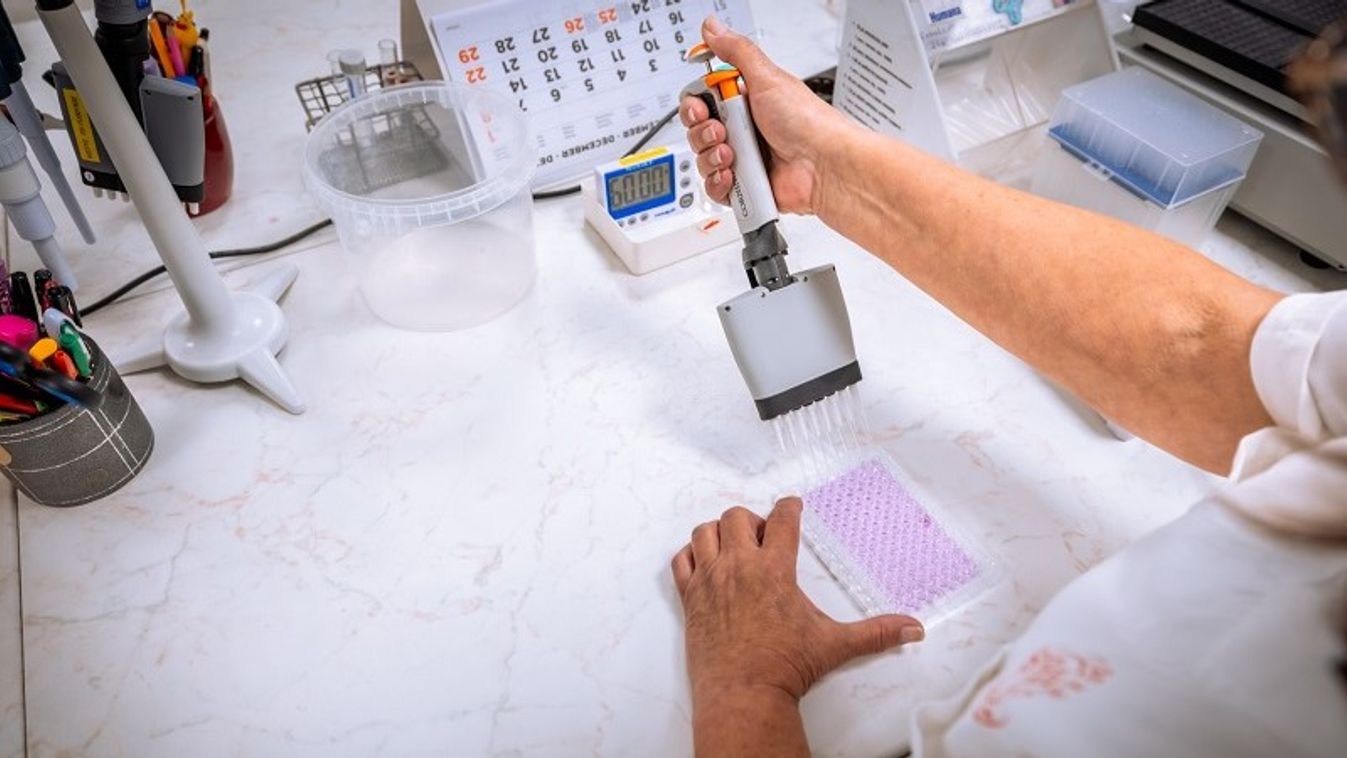 Fél évszázados a hazai újszülöttkori szűrés, ami Szegedről indult
