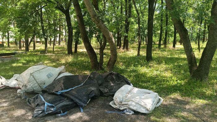 Szeged újabb szégyenfoltja: lerakott hulladék és gazos kiserdő +fotók