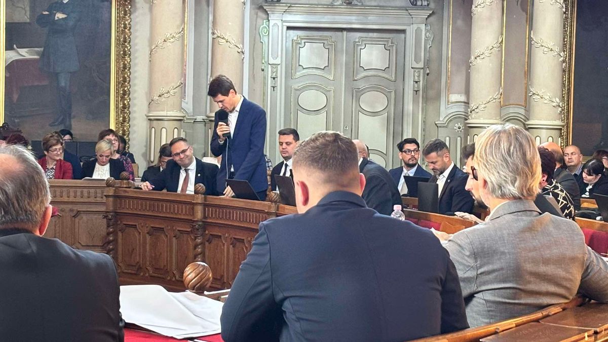 A zöldtanácsnok szerint a lakosságnak locsolnia kellene a közterületen lévő fákat. 