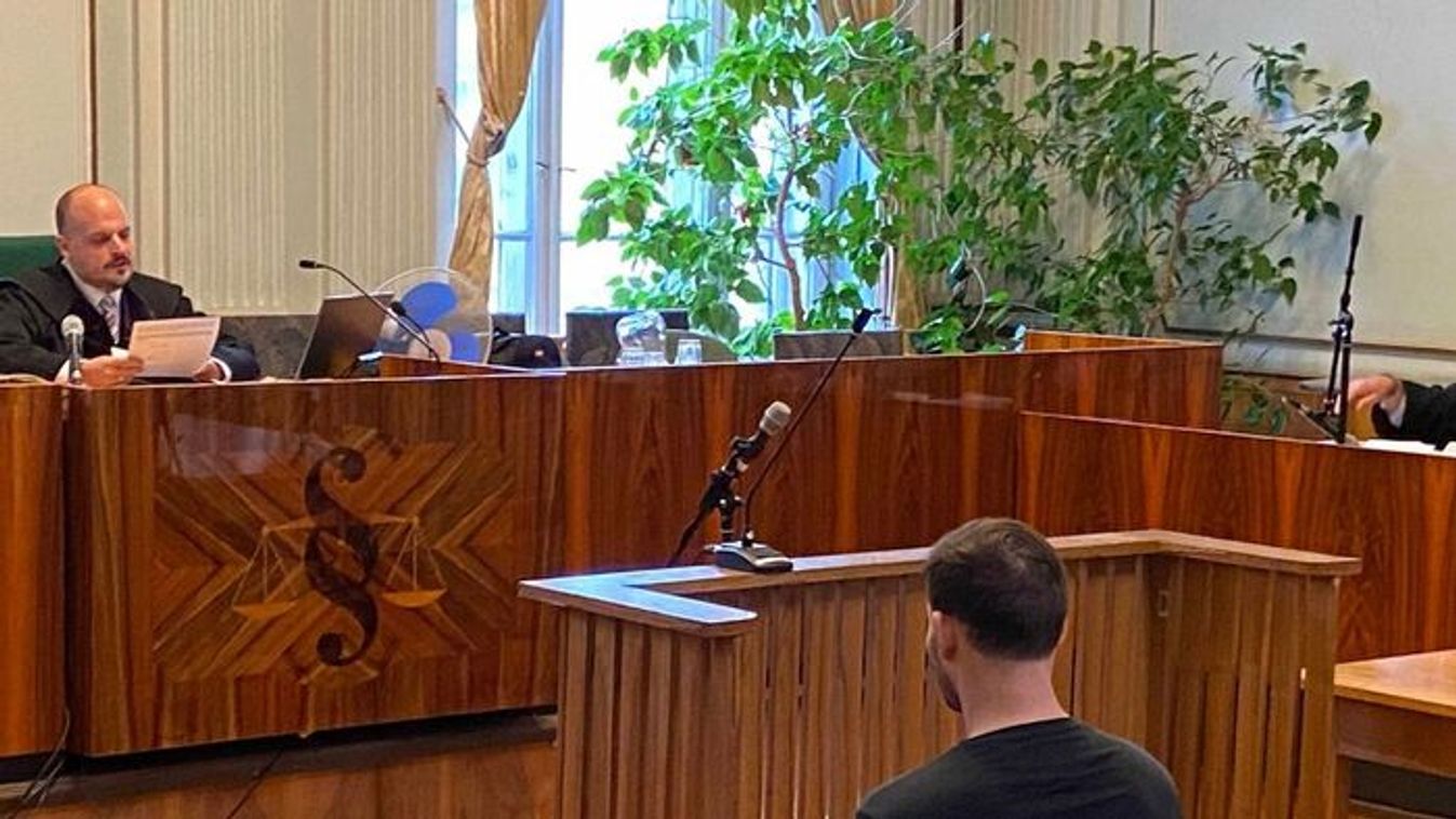 Tizennégy évre ítélték a férfit, aki félholtra vert egy nőt a belvárosban