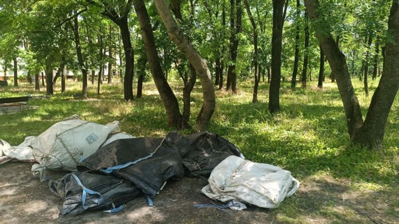 Szeged újabb szégyenfoltja: lerakott hulladék és gazos kiserdő +fotók