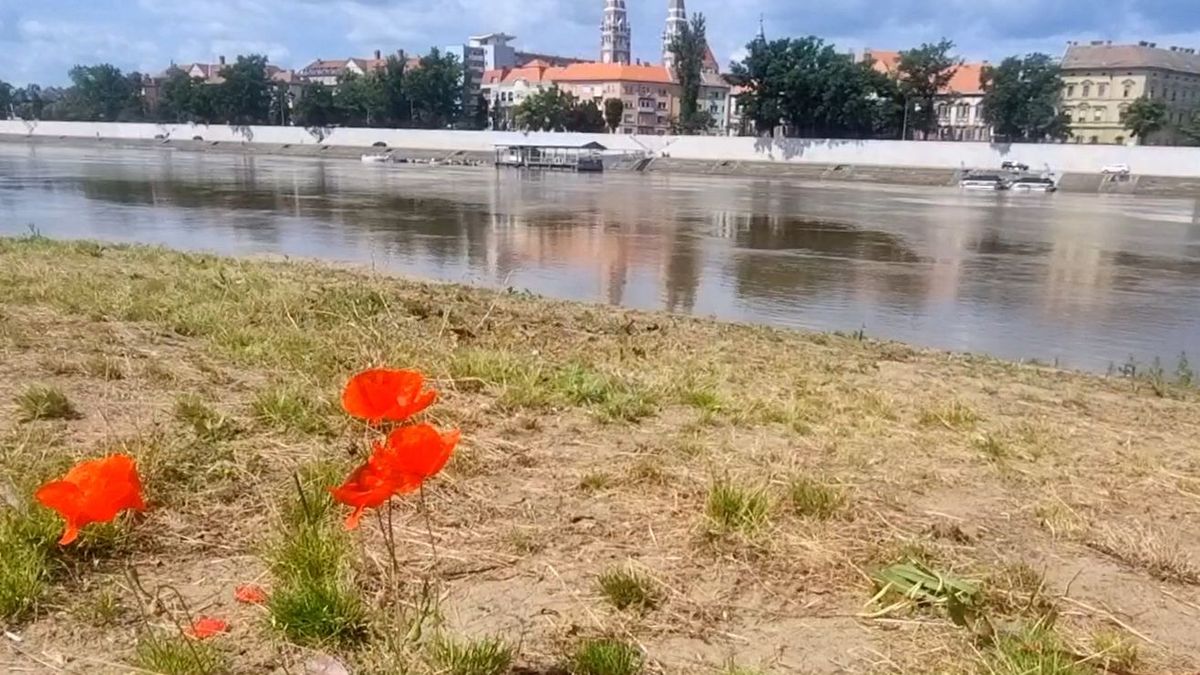 Egyelőre a természet az úr a Laposon.