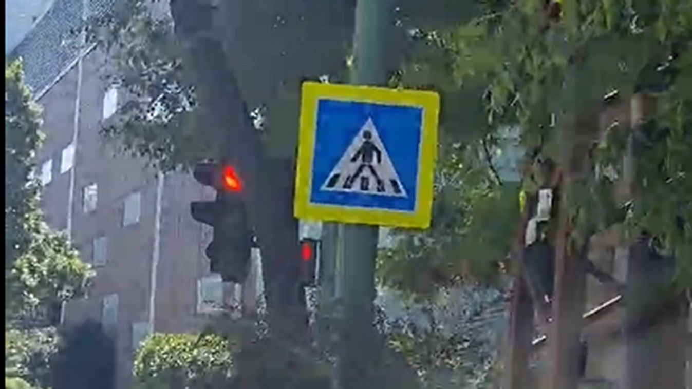Belógó fa zavarja a közlekedést az Árkádnál +videó