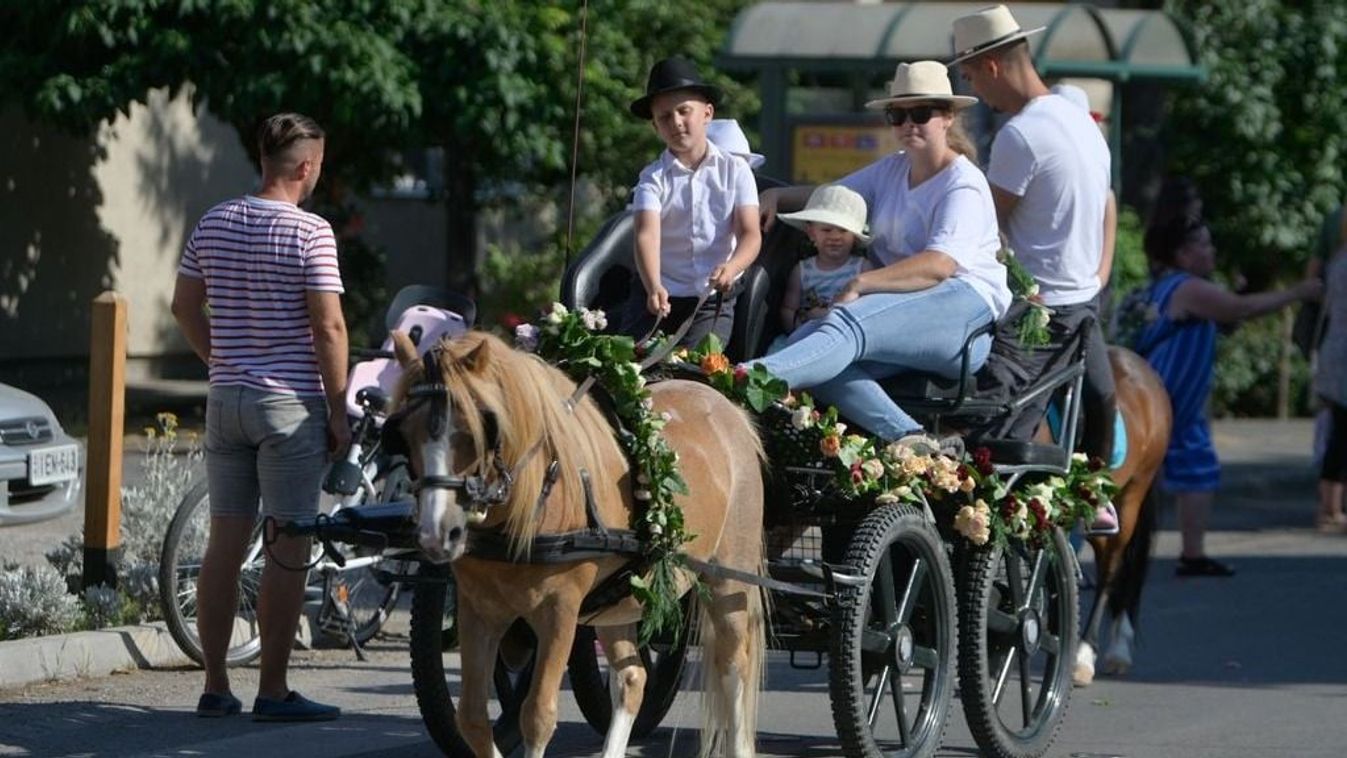 Ezrek ünnepelték a rózsa virágzó örökségét Szőregen +fotók
