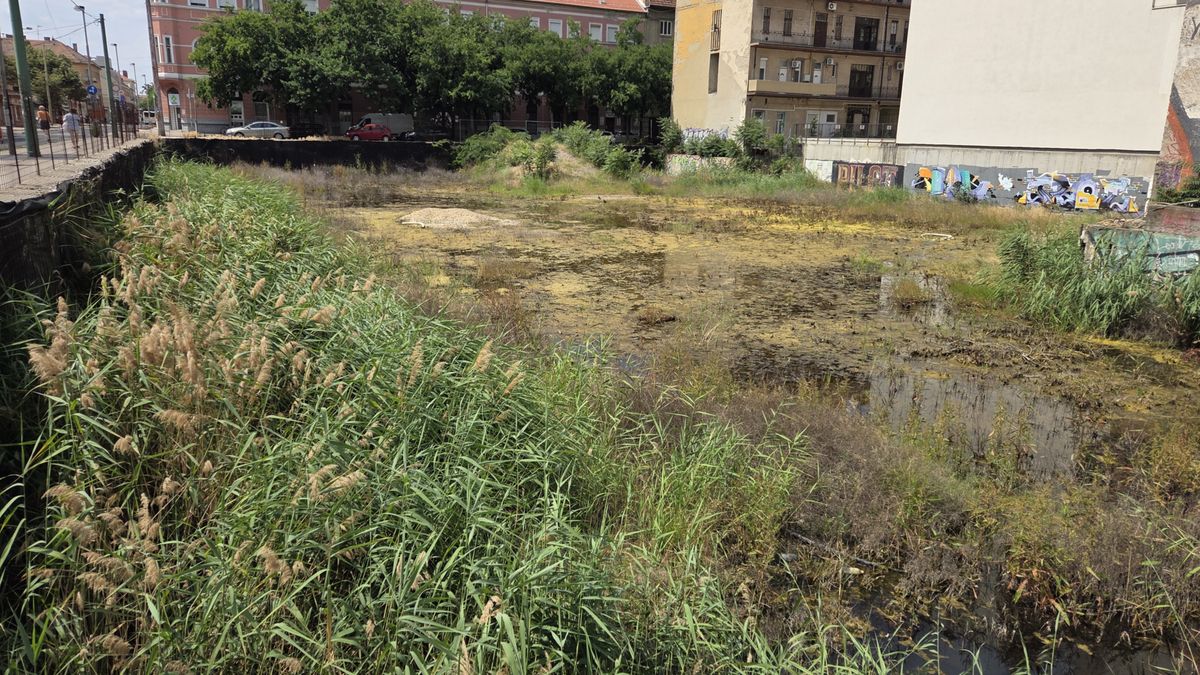 A szegedi belváros szégyenfoltja, a Centrum-gödör Fotó: Juhász Viktor. 