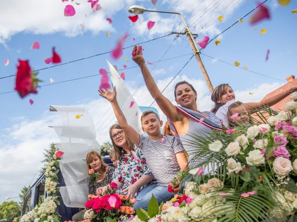 Virágba borul minden: közeledik a 25. Szőregi Rózsaünnep