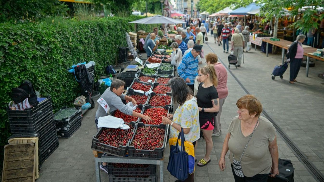 Így alakul a meggy és a cseresznye kínálat az idei szezonban