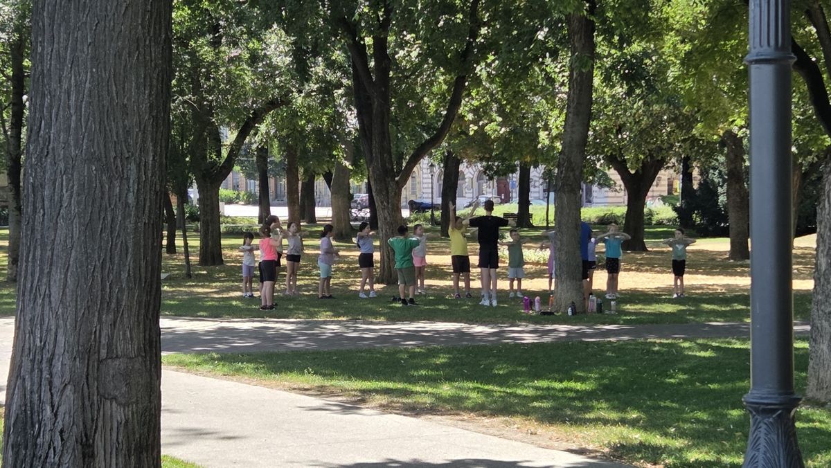 Offline Szeged