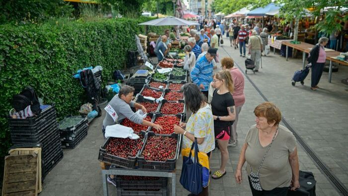 Így alakul a meggy és a cseresznye kínálat az idei szezonban
