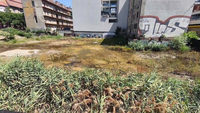 Egyre nagyobb bűzt áraszt a Centrum-gödör koszos pocsolyája +fotók +videó