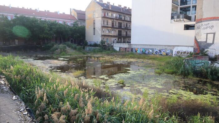 Kánikula Szegeden: készülhetünk a Centrum-gödör elviselhetetlen bűzére +fotók +videó
