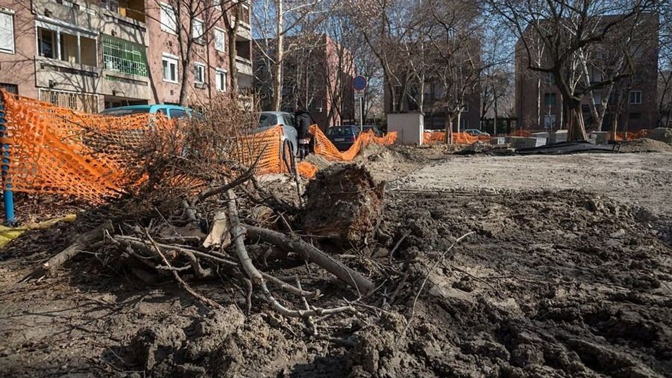 Csődöt mondott Szeged zöldítése