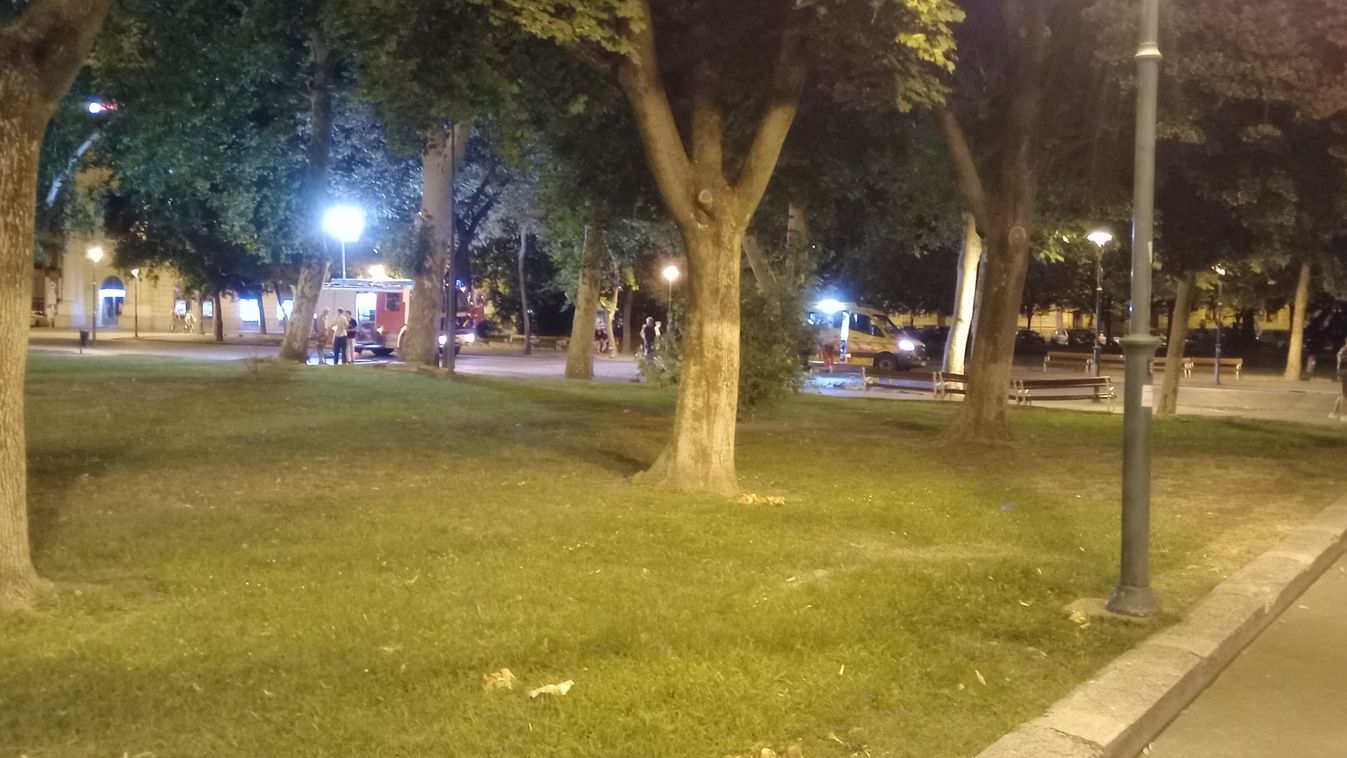 Járókelőre szakadt egy faág a Széchenyi téren, mentő vitte el a sérültet