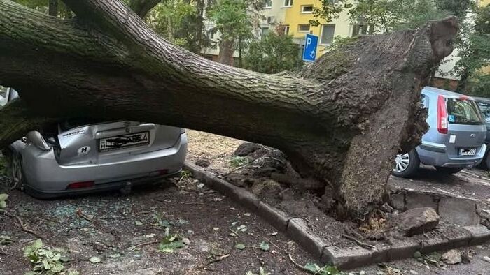 A vihar a szegedi önkormányzat nemtörődömségére is rámutatott